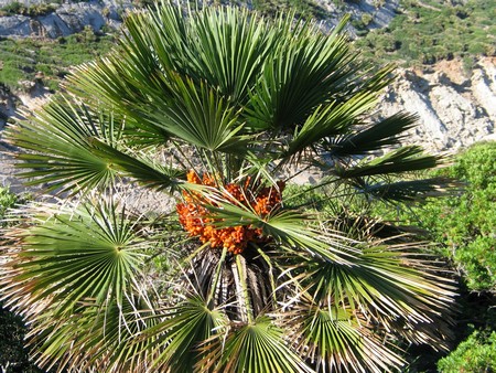 Mallorca: great winter hiking on a beautiful island