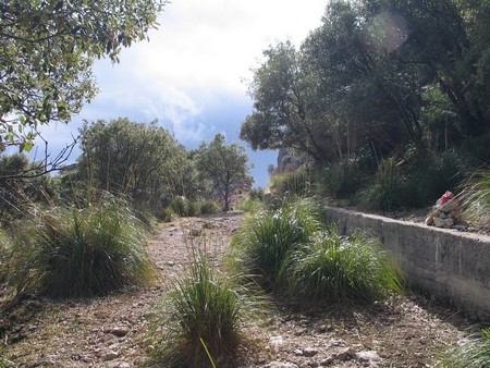 Mallorca: great winter hiking on a beautiful island