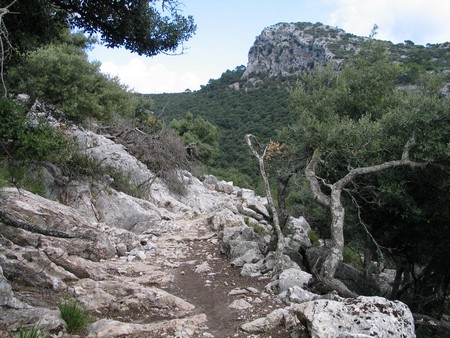 Mallorca: great winter hiking on a beautiful island