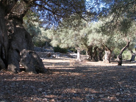 Mallorca: great winter hiking on a beautiful island
