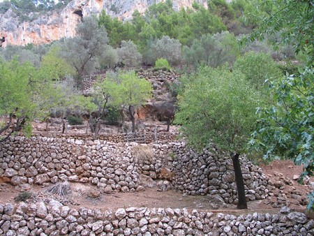 Mallorca: great winter hiking on a beautiful island
