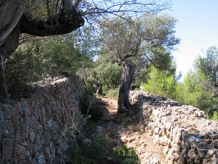Mallorca: great winter hiking on a beautiful island