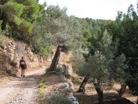 Mallorca: great winter hiking on a beautiful island