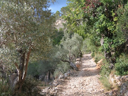 Mallorca: great winter hiking on a beautiful island