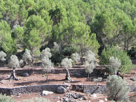 Mallorca: great winter hiking on a beautiful island