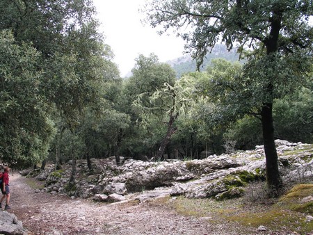 Mallorca: great winter hiking on a beautiful island