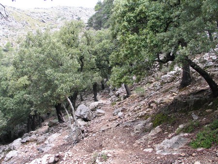 Mallorca: great winter hiking on a beautiful island