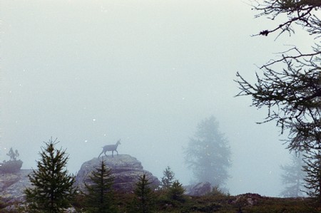 The Tour of Monté Rosa; one of the great Alpine tours