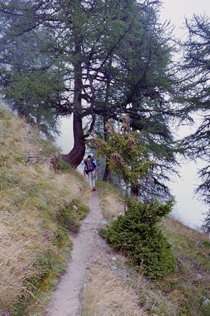 The Tour of Monté Rosa; one of the great Alpine tours