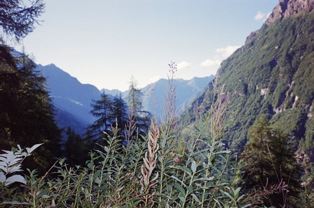 The Tour of Monté Rosa; one of the great Alpine tours