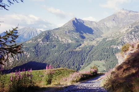 The Tour of Monté Rosa; one of the great Alpine tours
