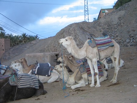 The Sahara, ancient ruins and beautiful landscapes