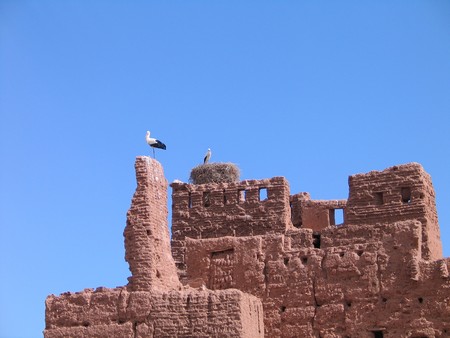 The Sahara, ancient ruins and beautiful landscapes