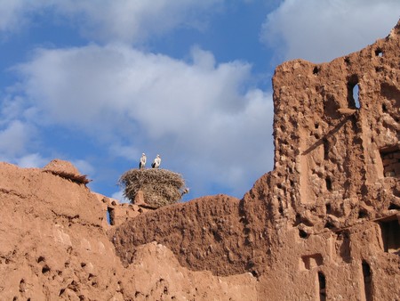 The Sahara, ancient ruins and beautiful landscapes