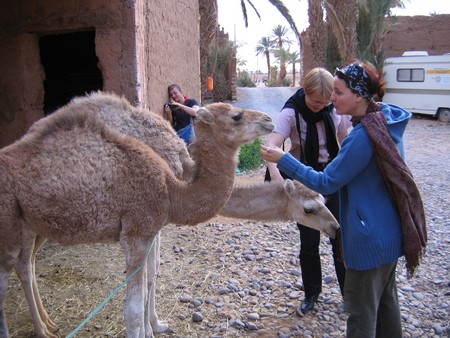 The Sahara, ancient ruins and beautiful landscapes