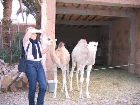The Sahara, ancient ruins and beautiful landscapes