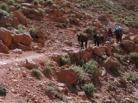The Sahara, ancient ruins and beautiful landscapes