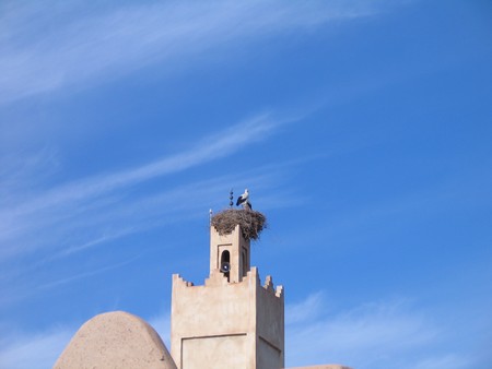 The Sahara, ancient ruins and beautiful landscapes