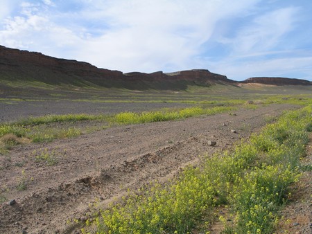 The Sahara, ancient ruins and beautiful landscapes