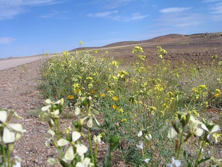 The Sahara, ancient ruins and beautiful landscapes