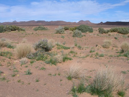 The Sahara, ancient ruins and beautiful landscapes