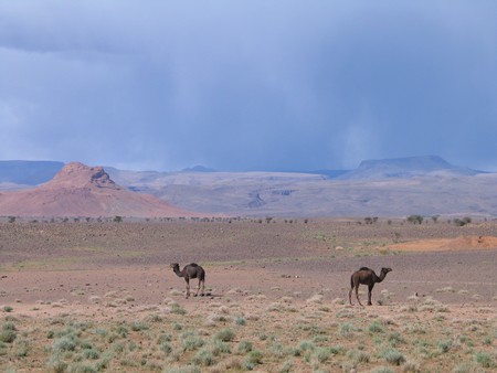 The Sahara, ancient ruins and beautiful landscapes