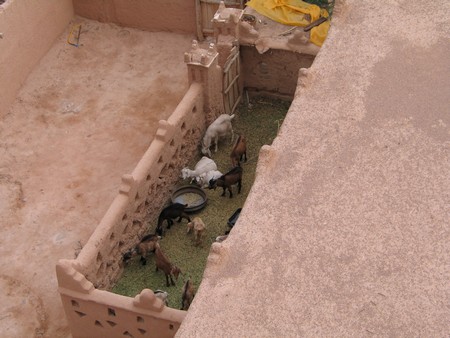 The Sahara, ancient ruins and beautiful landscapes
