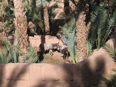 The Sahara, ancient ruins and beautiful landscapes