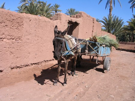 The Sahara, ancient ruins and beautiful landscapes