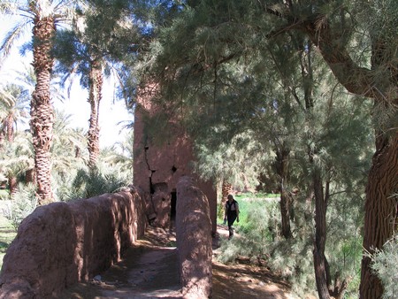 The Sahara, ancient ruins and beautiful landscapes