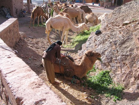 The Sahara, ancient ruins and beautiful landscapes