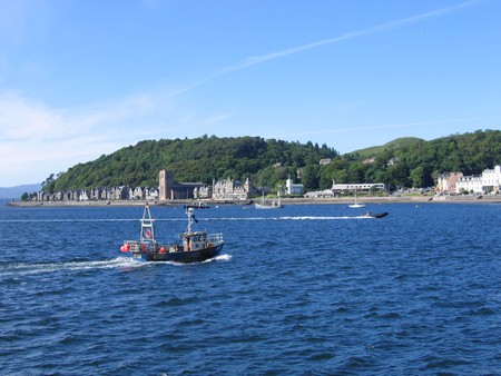 Bird watching on Mull
