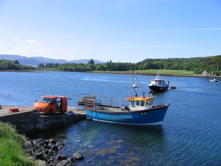 Bird watching on Mull