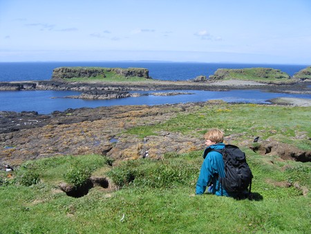 Bird watching on Mull