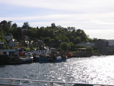 Bird watching on Mull
