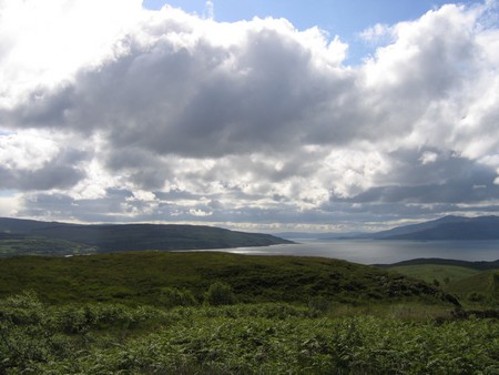 Bird watching on Mull