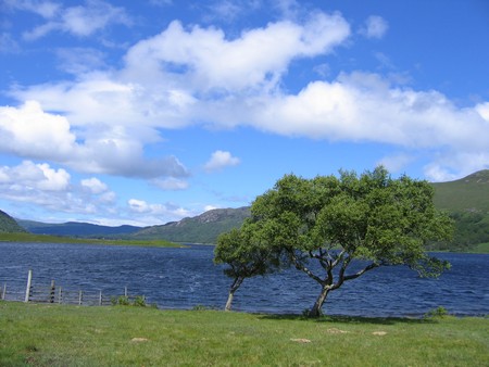 Bird watching on Mull