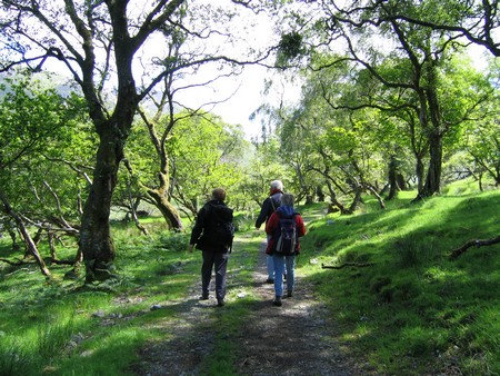 Bird watching on Mull