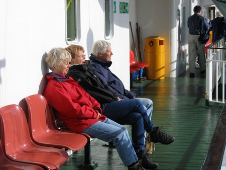 Bird watching on Mull