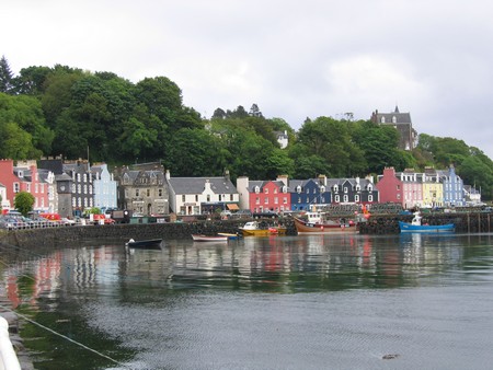 Bird watching on Mull