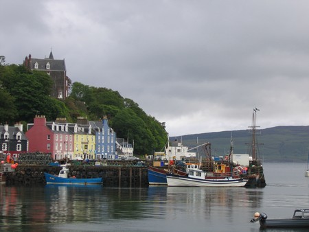 Bird watching on Mull