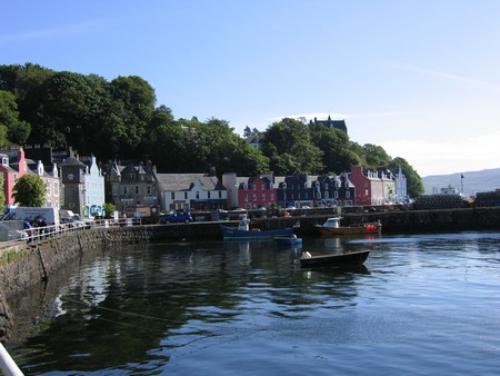 Bird watching on Mull