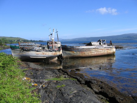 Bird watching on Mull