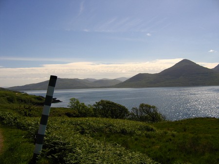 Bird watching on Mull