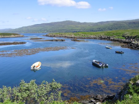 Bird watching on Mull