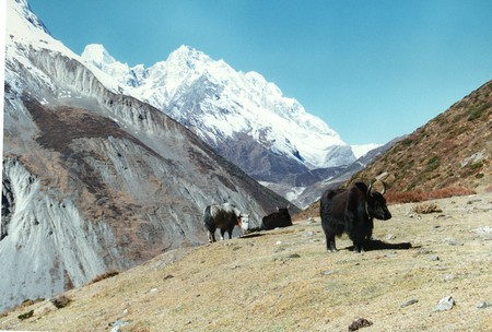 Nepal - Hiking Manaslu