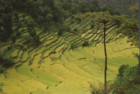 The first Manaslu Circuit