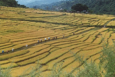 The first Manaslu Circuit
