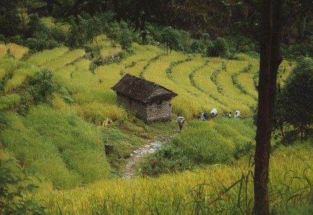 The first Manaslu Circuit