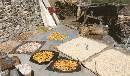The first Manaslu Circuit